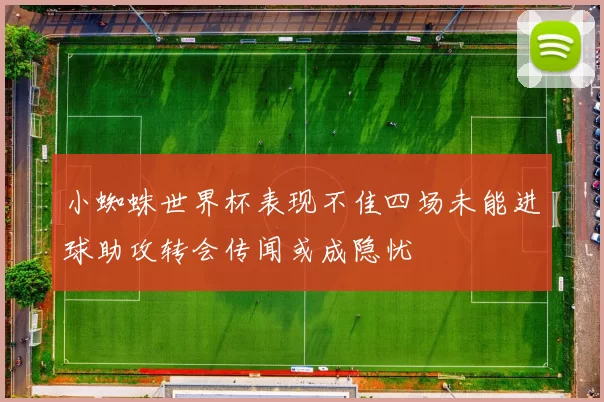 小蜘蛛世界杯表现不佳四场未能进球助攻转会传闻或成隐忧